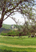 Вид на Карлштейн с поля для гольфа.